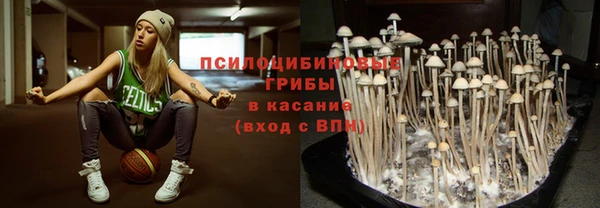 гидропоника Арсеньев