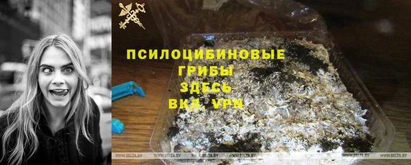 винт Армянск