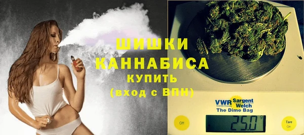 стаф Инсар